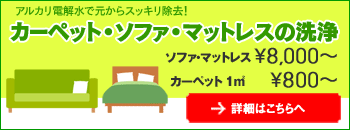 カーペット洗浄